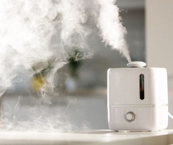 using a humidifier in home