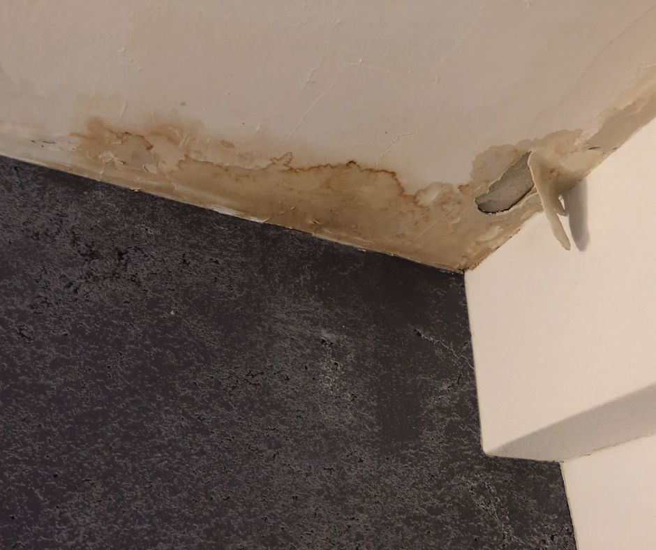 water damage from a water leak